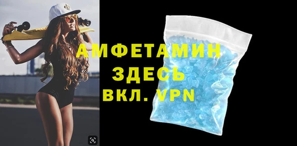 стаф Алзамай