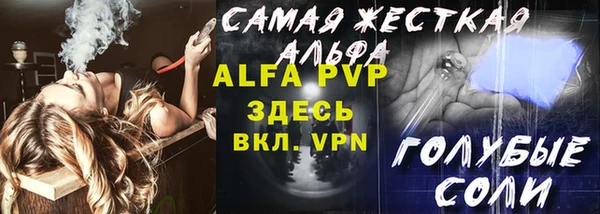 стаф Алзамай