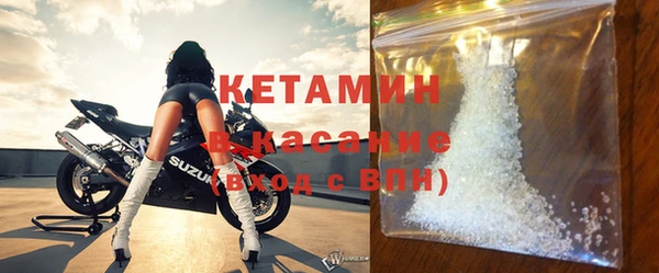 стаф Алзамай