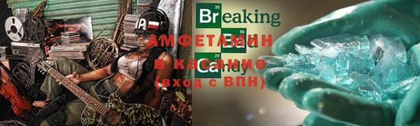 стаф Алзамай