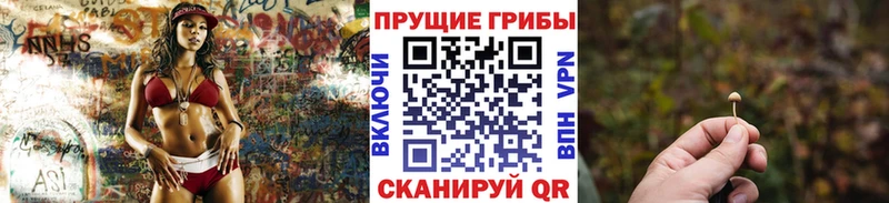 купить наркотик  Красногорск  Псилоцибиновые грибы мухоморы 